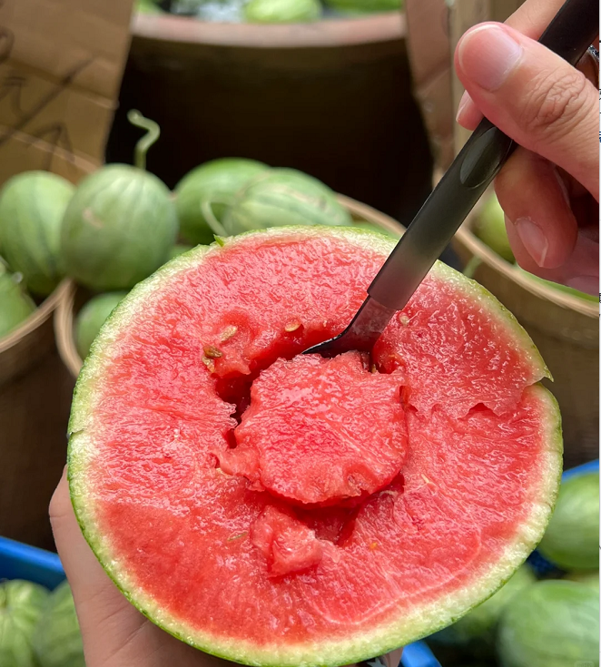 Rock Sugar Watermelon Seeds