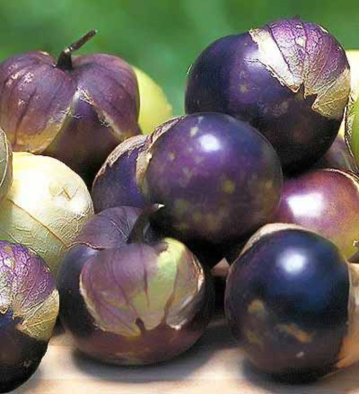 Purple Tomatillo Seeds - Non GMO