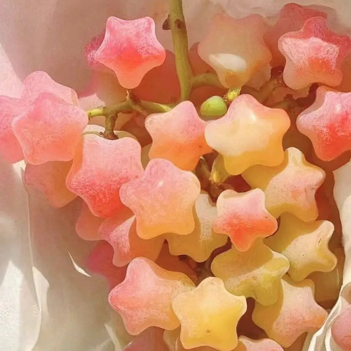 Winter Star Grape Seeds