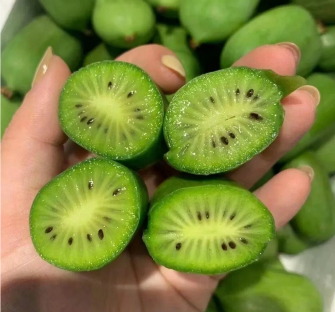 Soft Date Kiwi Seeds