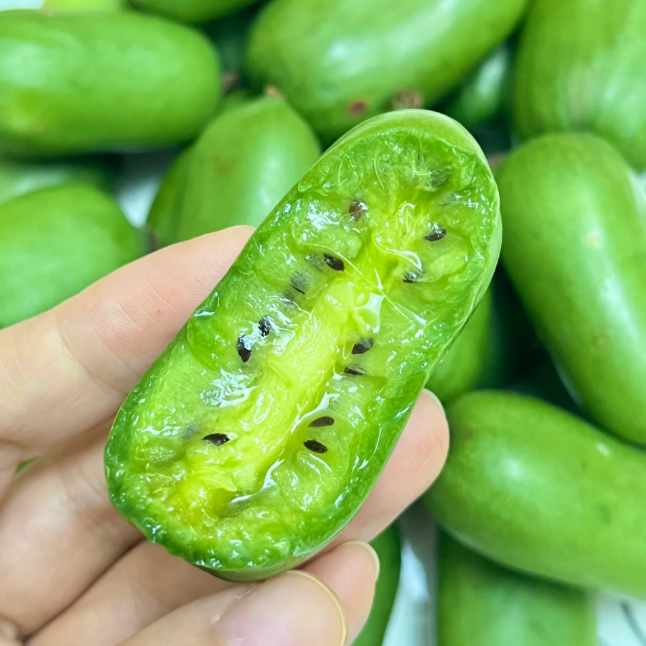 Soft Date Kiwi Seeds