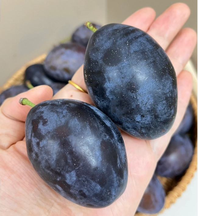 Damson Blue Plums Fruit Seeds