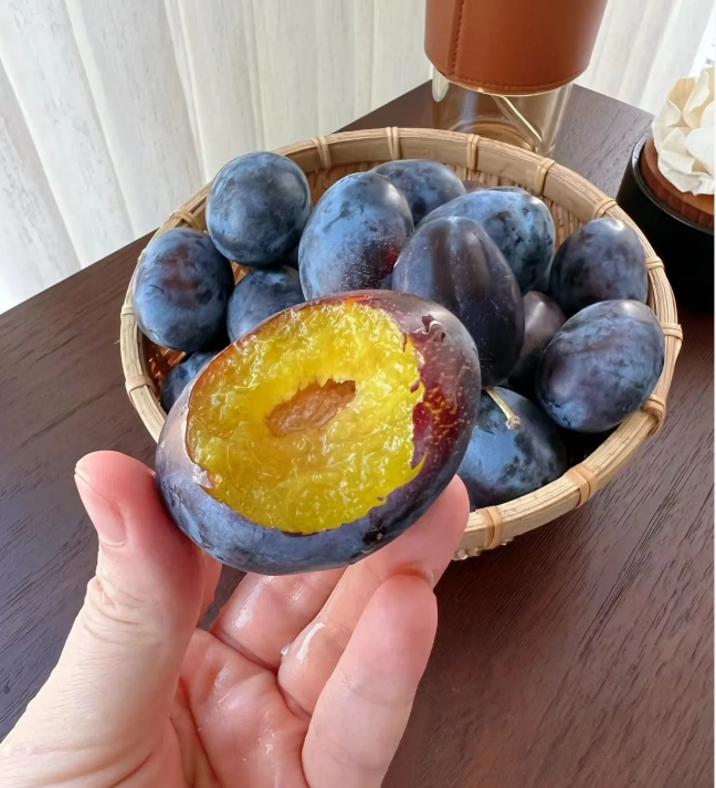 Blue Honey Prune Seeds