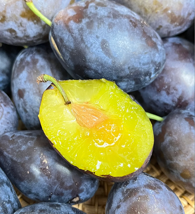 Damson Blue Plums Fruit Seeds