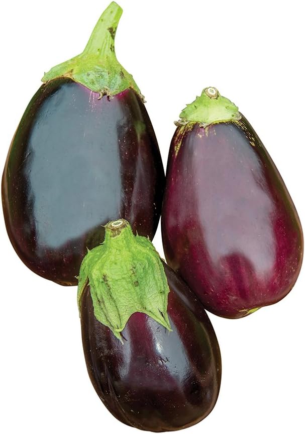 Burpee Patio Baby Eggplant Seeds 30 seeds