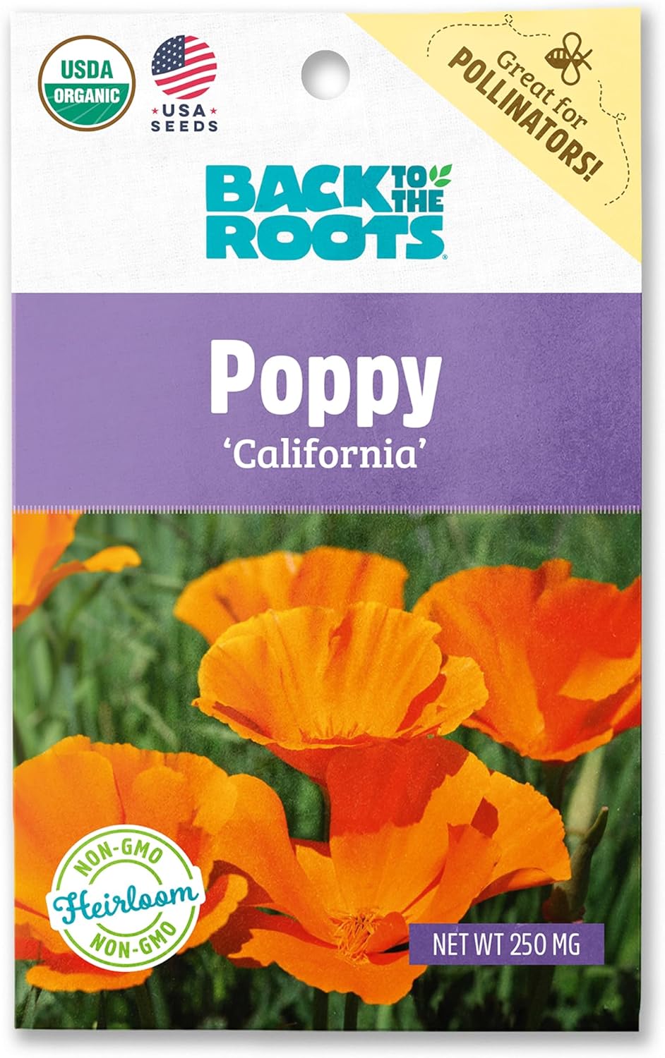 Back to the Roots 100% Organic Seed Packet - Eggplant 'Black Beauty' 140mg