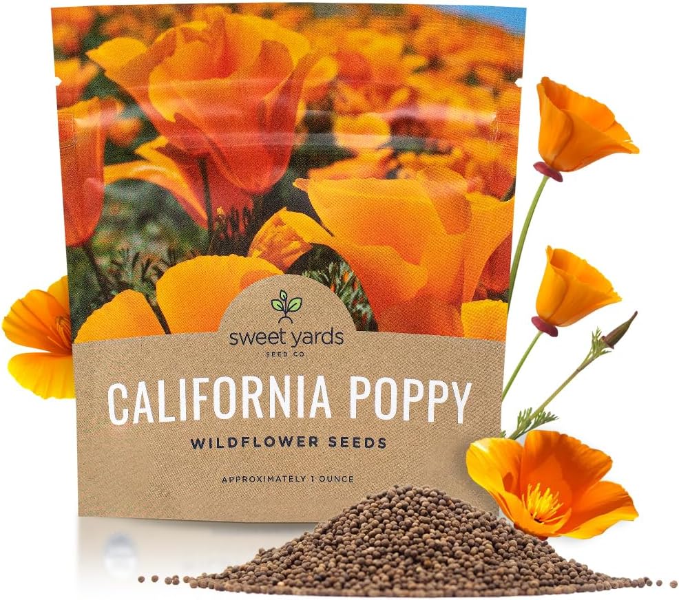 California Orange Poppy Wildflower Seeds - Bulk 1/4 Pound Bag - Over 80,000 Native Seeds - California State Flower!