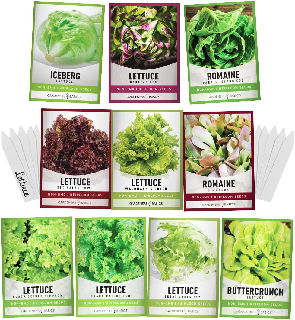 Gardeners Basics, Salad Greens Lettuce Seeds Heirloom Vegetable Seed 23,000 Seeds for Planting Indoors and Outdoor 10 Packs - Buttercrunch, Romaine, Iceberg, (and More) Leaf and Head Variety Pack