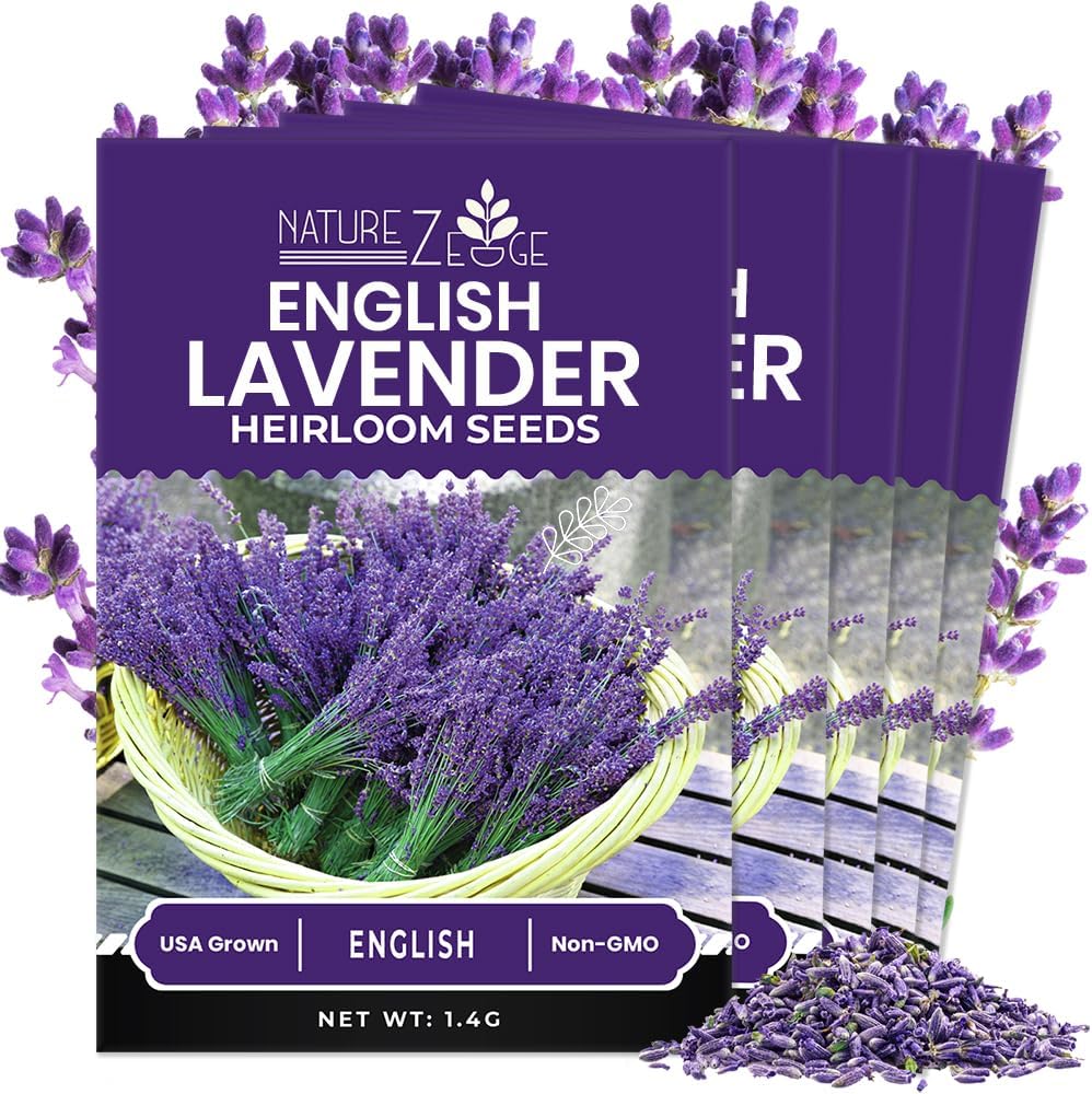 NatureZ Edge1500 English Lavender Seeds for Planting Outdoors or Indoors, 90% Germination, Lavender Plants, Non-GMO, Heirloom Herb Seeds (1 Pack)