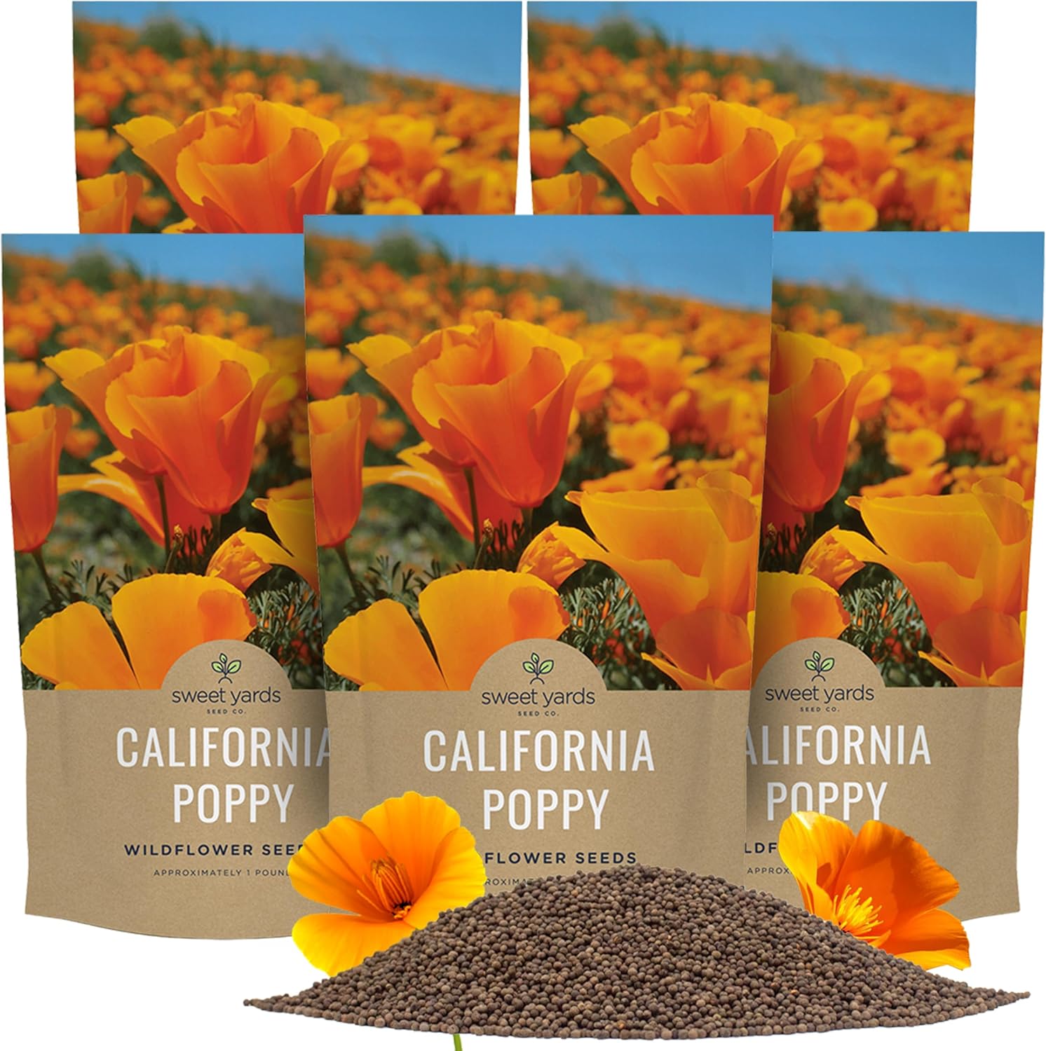 California Orange Poppy Wildflower Seeds - Bulk 1/4 Pound Bag - Over 80,000 Native Seeds - California State Flower!