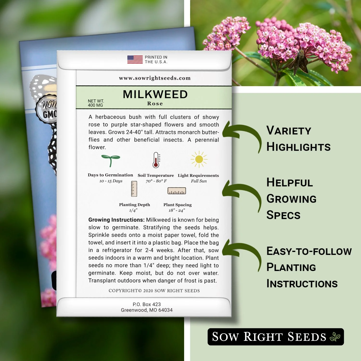 Rose (Swamp) Milkweed