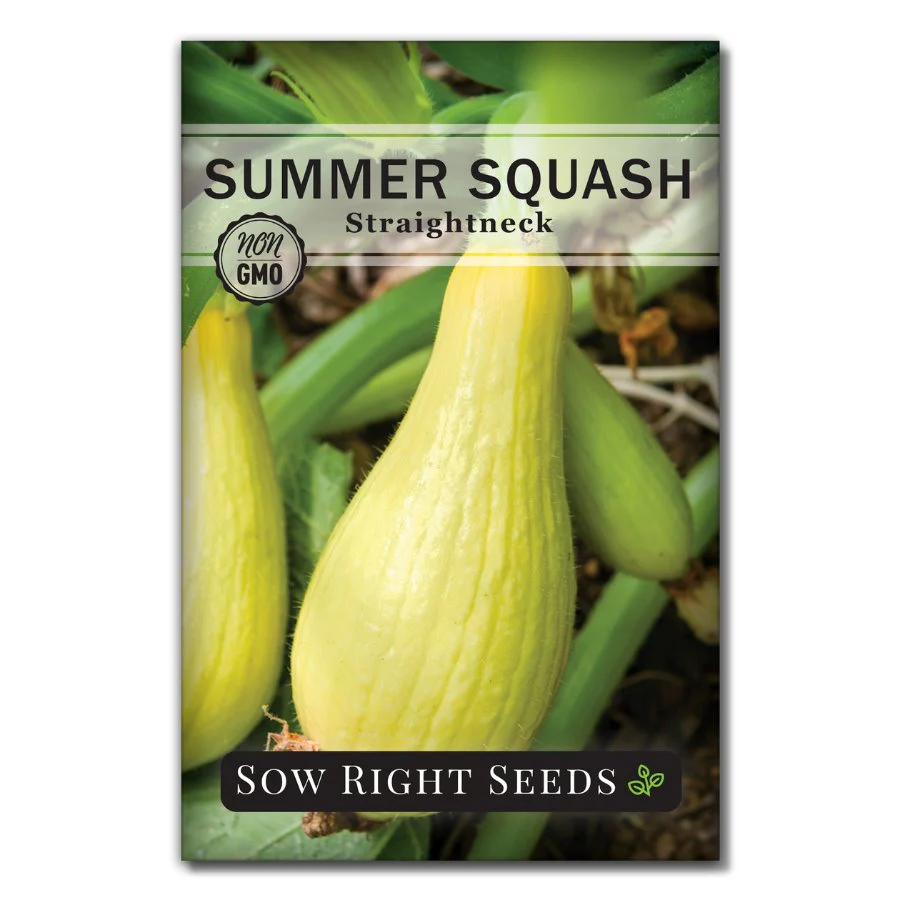 Straightneck Summer Squash