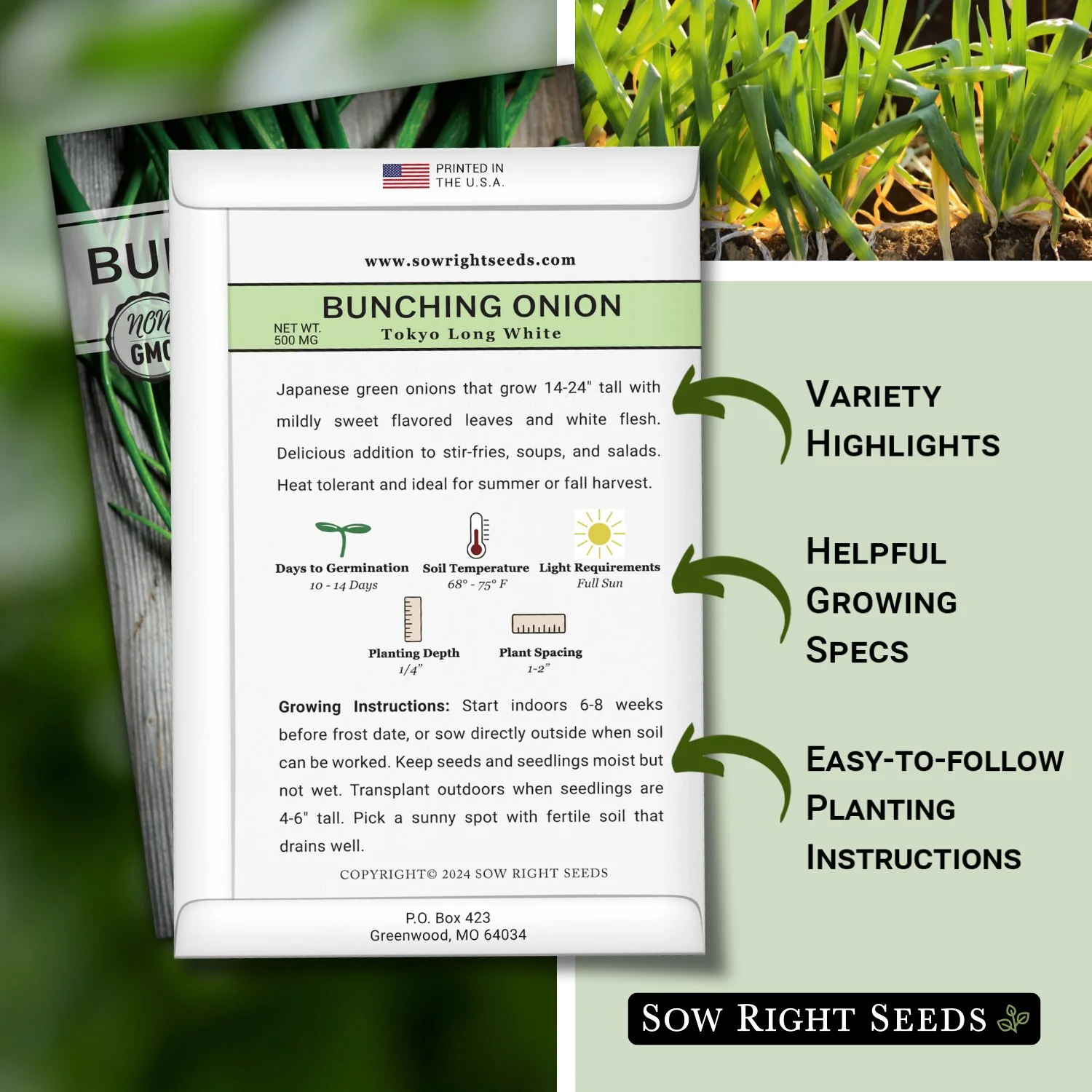 Tokyo Long White Bunching Onion Seeds