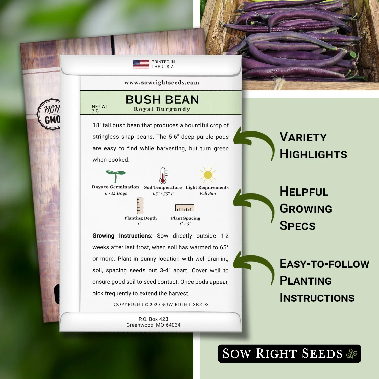 Royal Burgundy Bush Bean Seeds