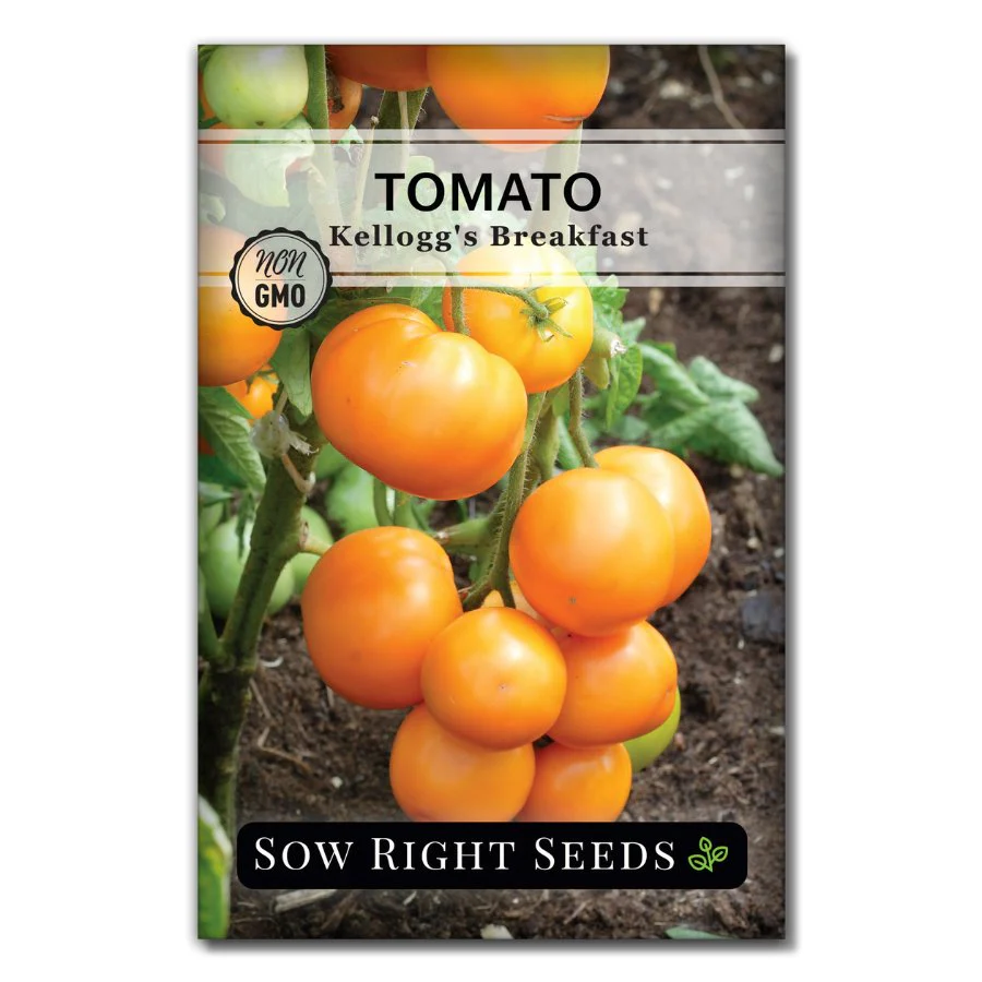 Kellogg's Breakfast Tomato Seeds