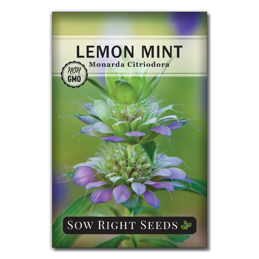 Lemon Mint