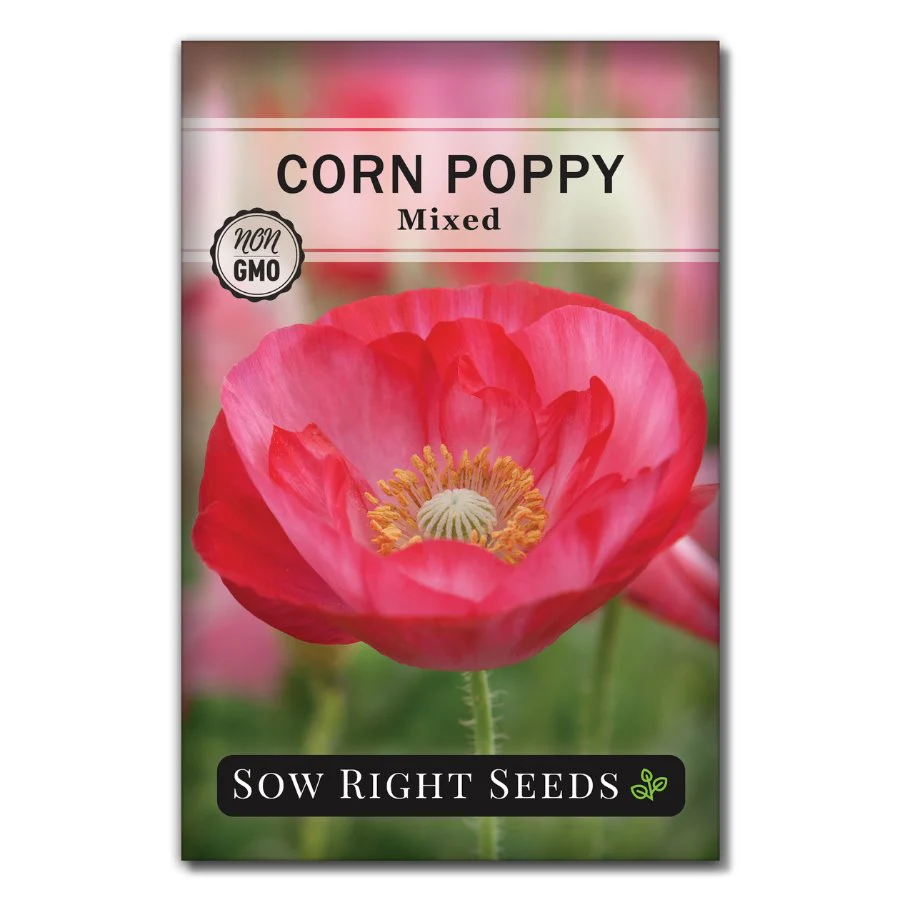 Mixed Corn Poppy