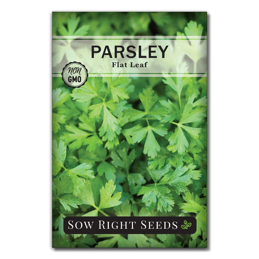 Flat Leaf Parsley