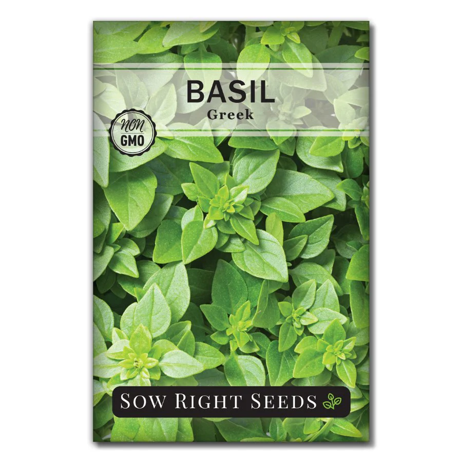 Greek Basil