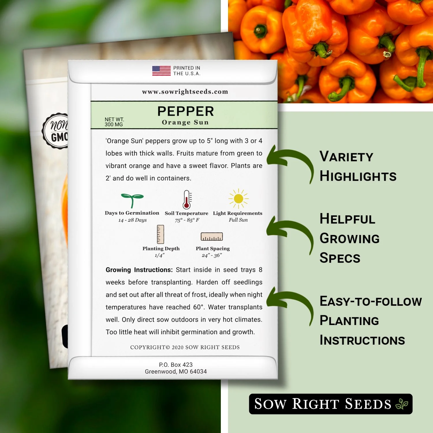 Orange Sun Pepper Seeds