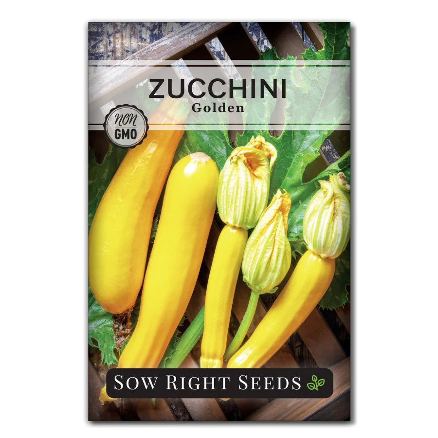 Golden Zucchini
