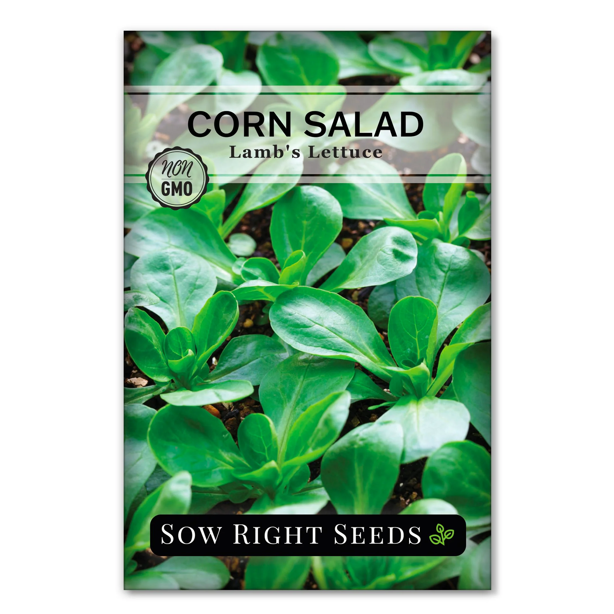 Lamb's Lettuce Corn Salad