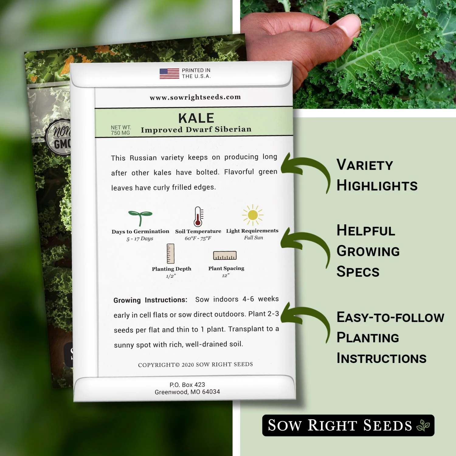 Dwarf Siberian Improved Kale