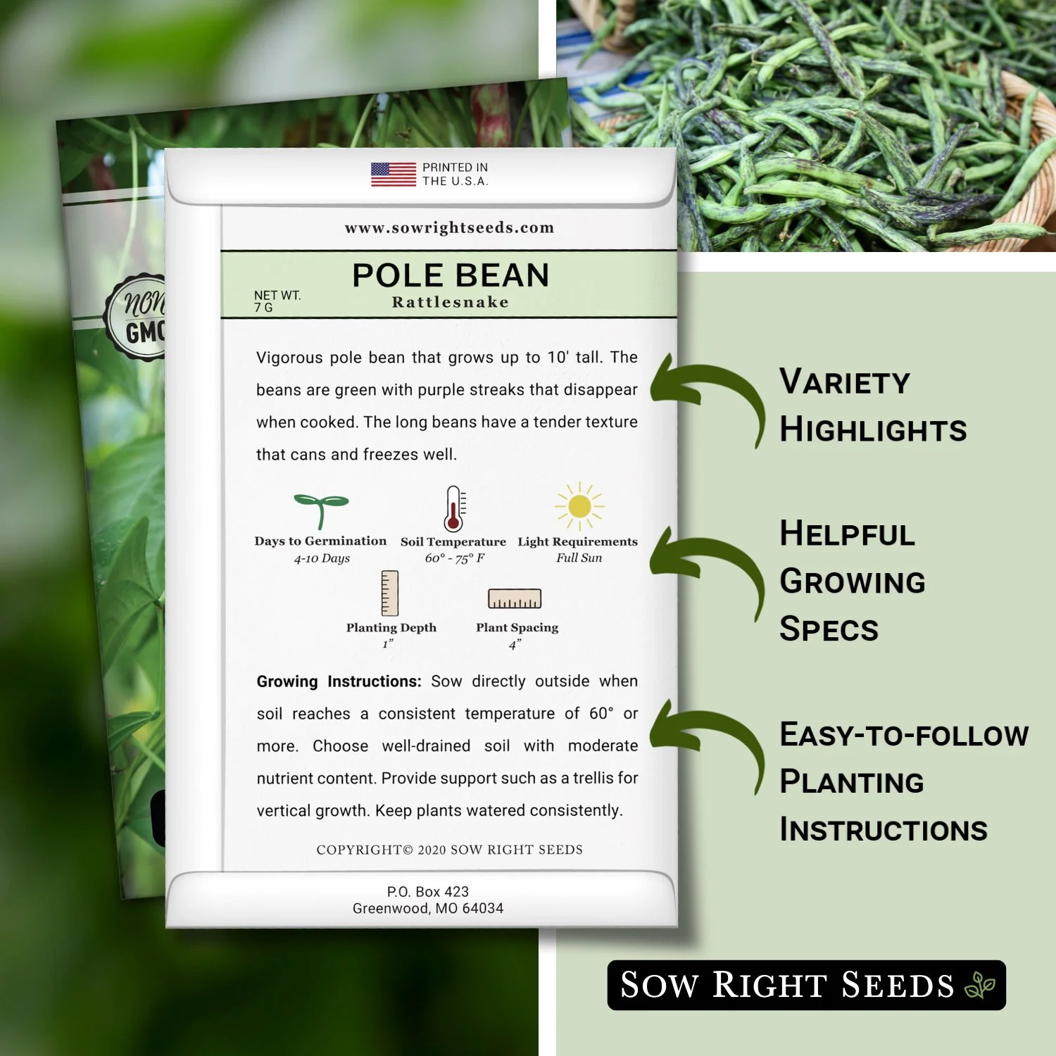 Rattlesnake Pole Bean Seeds