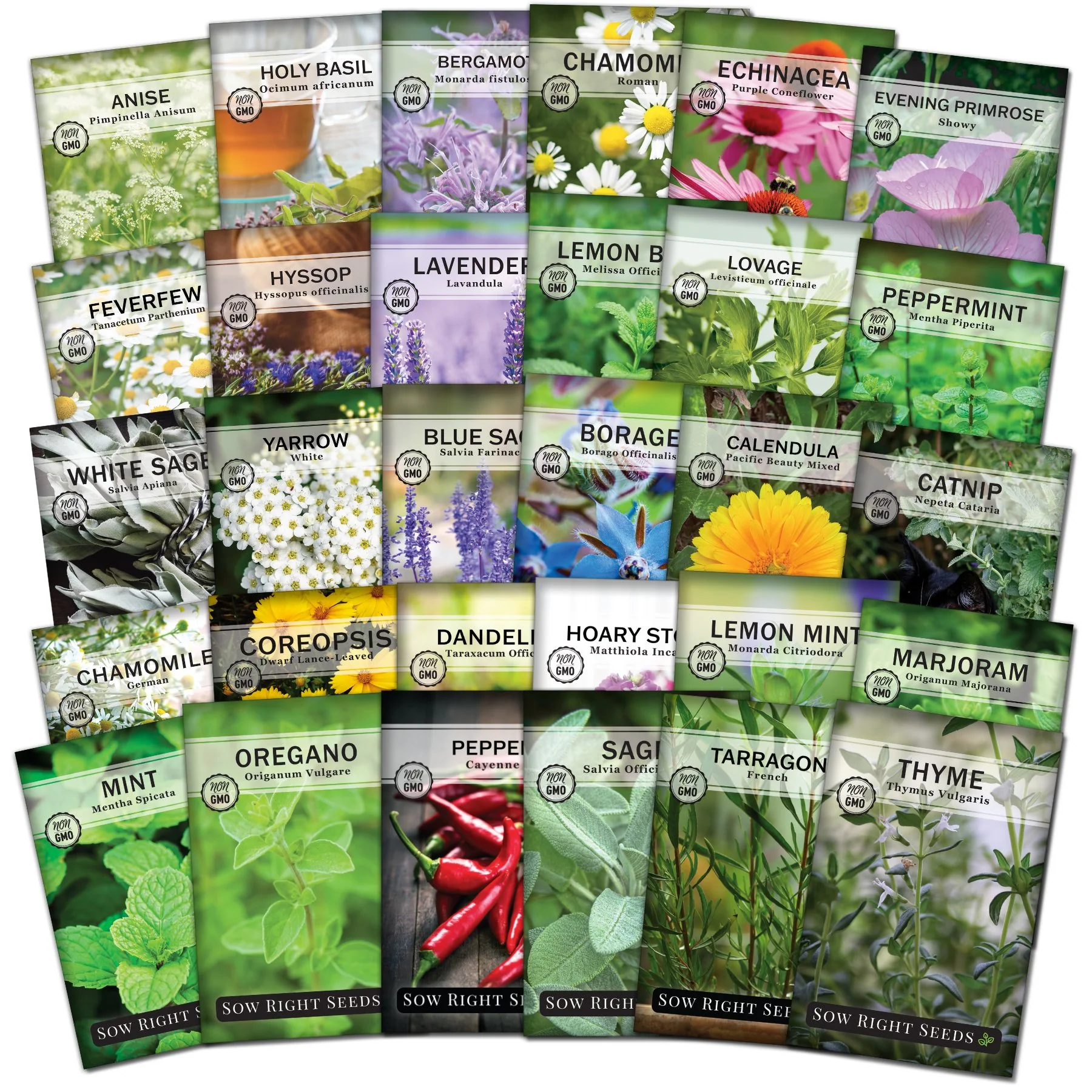 Super Large Medicinal Herb Collection