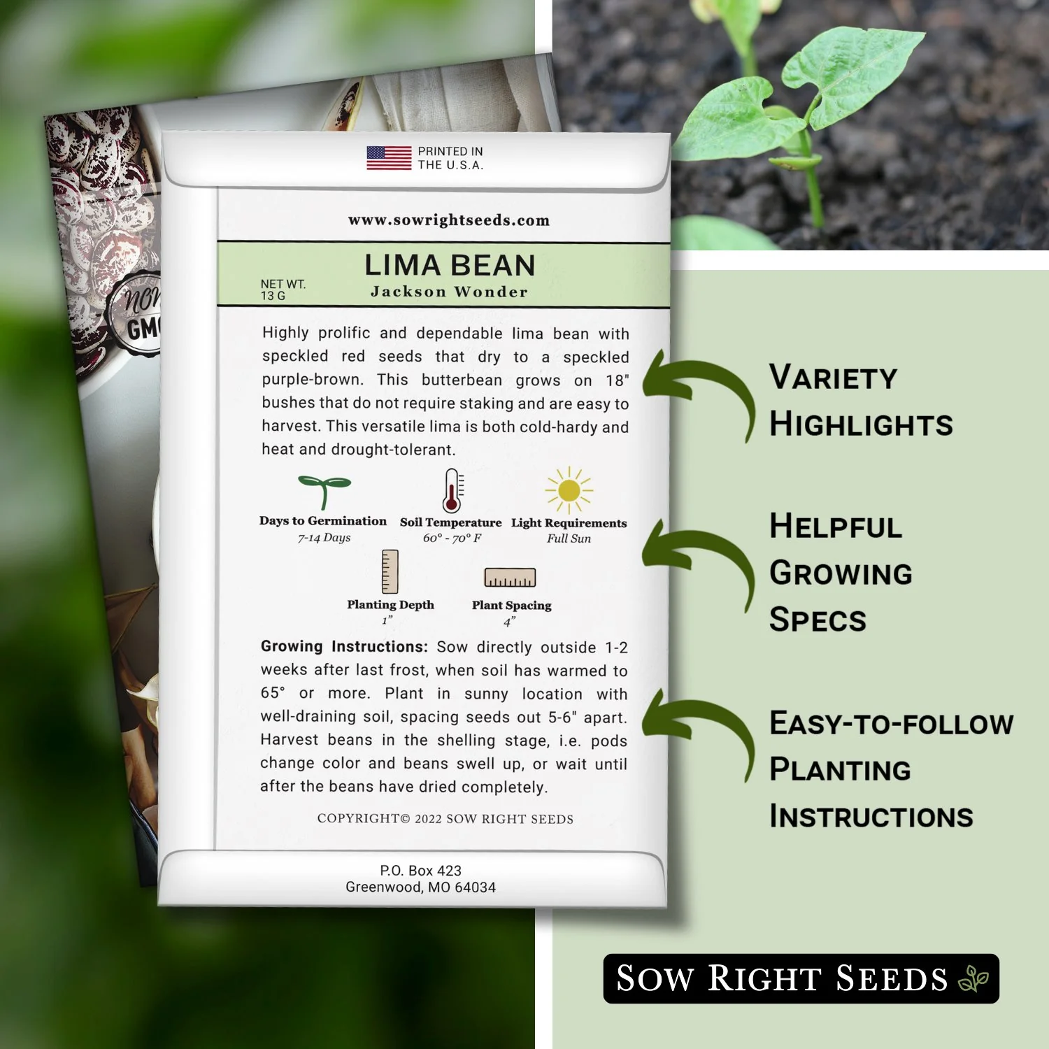 Jackson Wonder Lima Bean Seeds