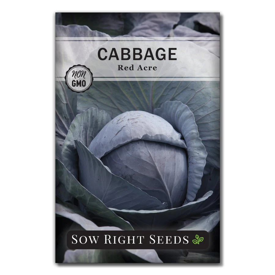 Red Acre Cabbage