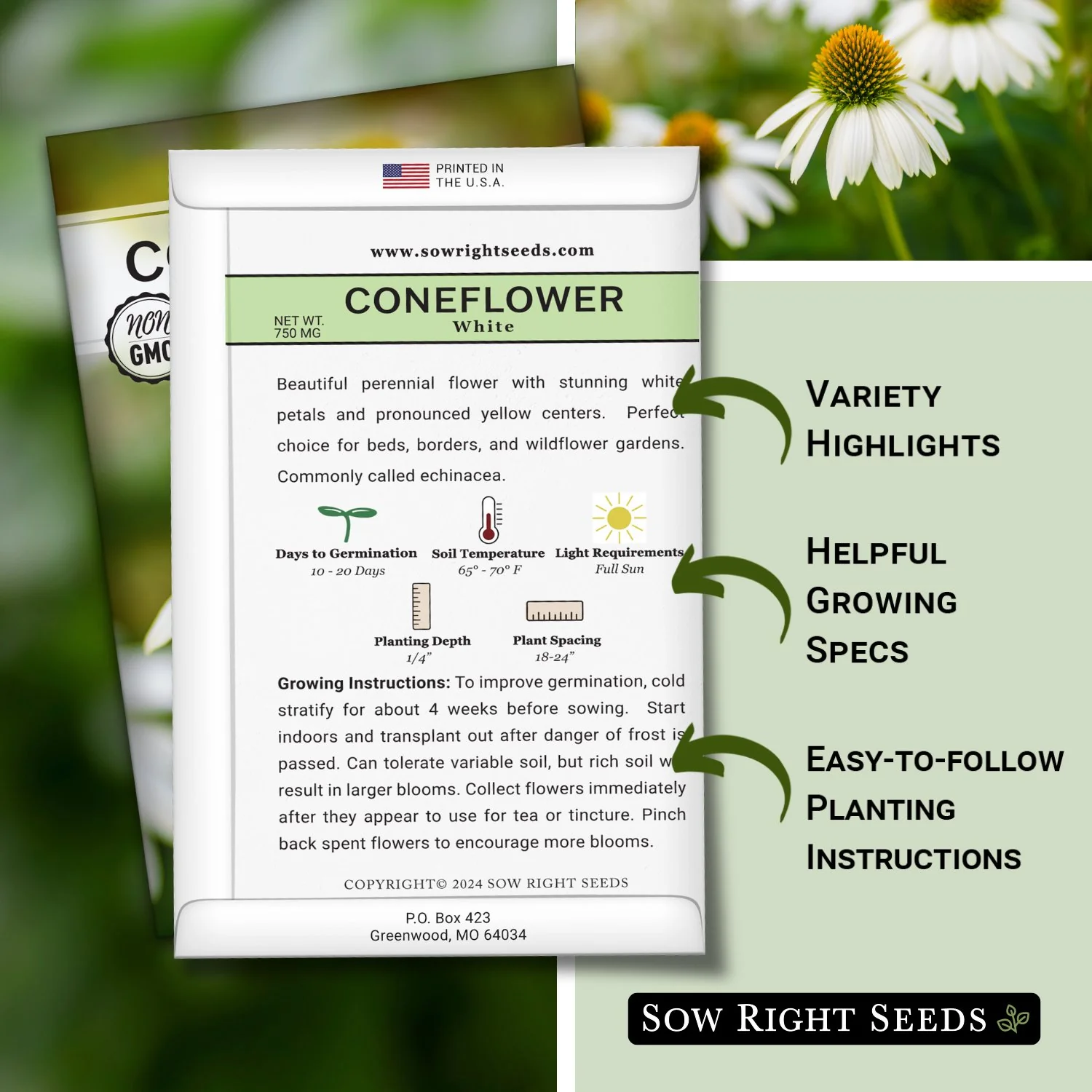 White Coneflower Seeds