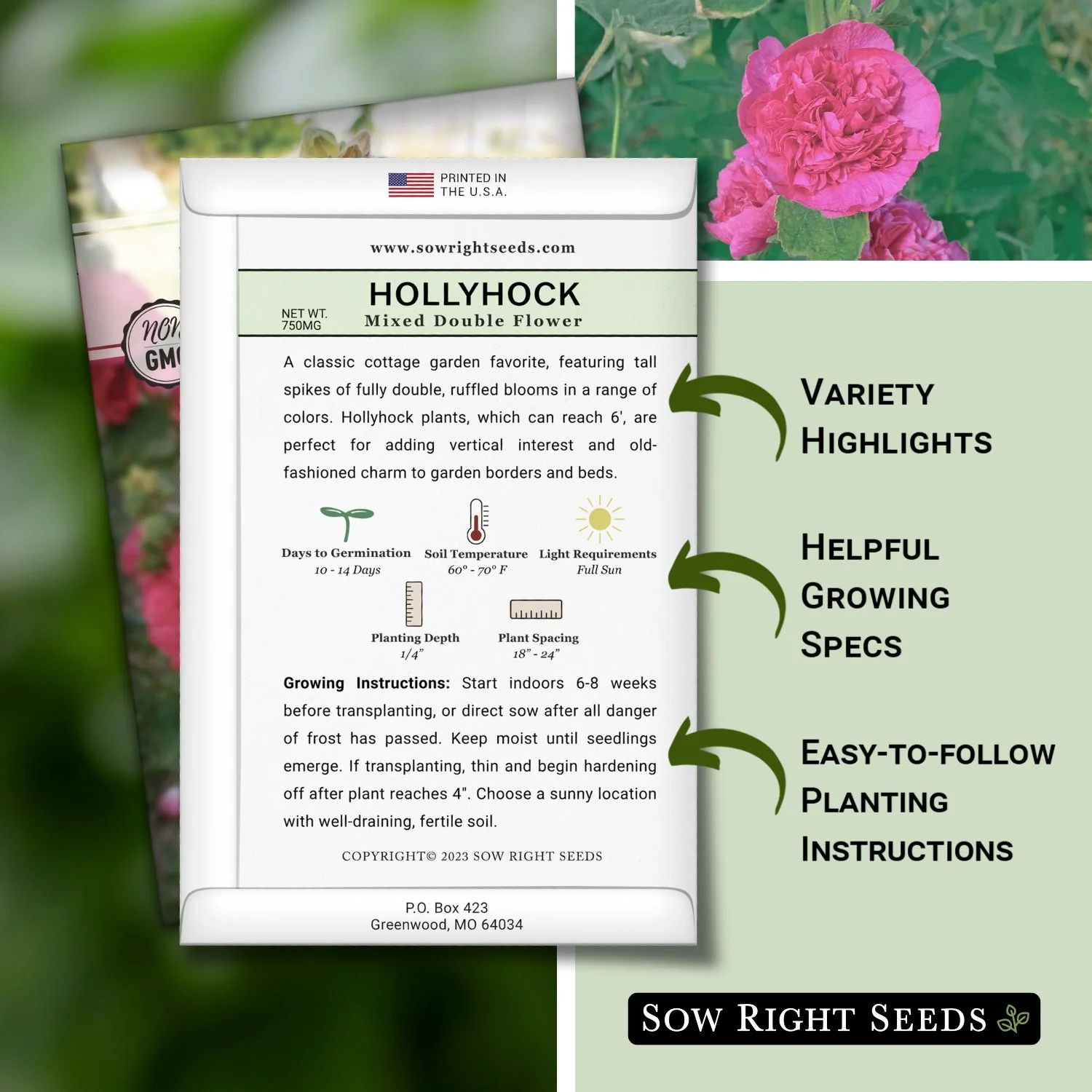 Double Flower Mixed Hollyhock