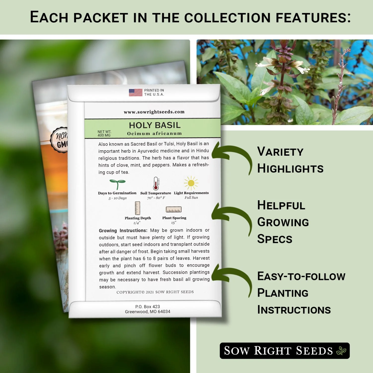 Super Large Medicinal Herb Collection