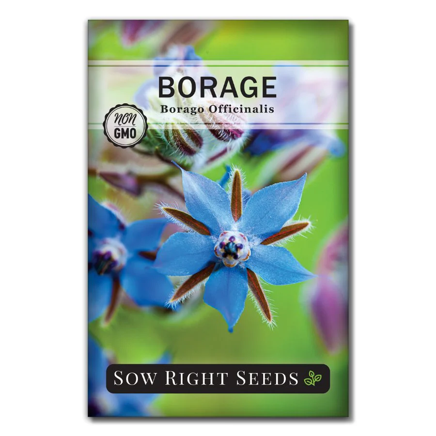 Borage Seeds