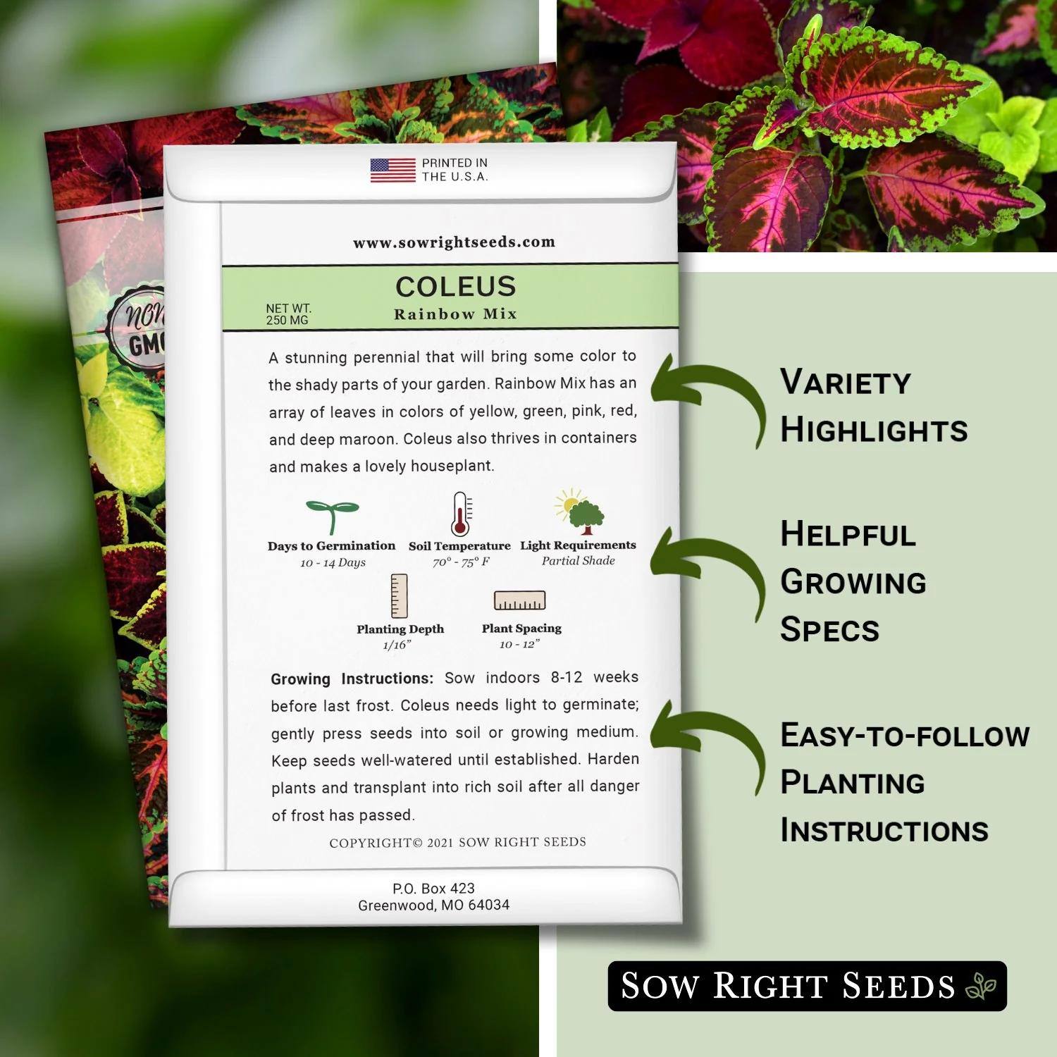 Rainbow Mix Coleus Seeds