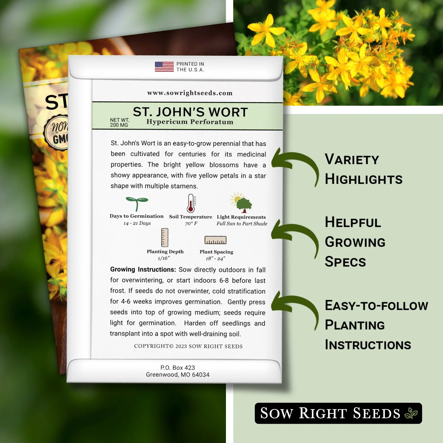 St. John's Wort
