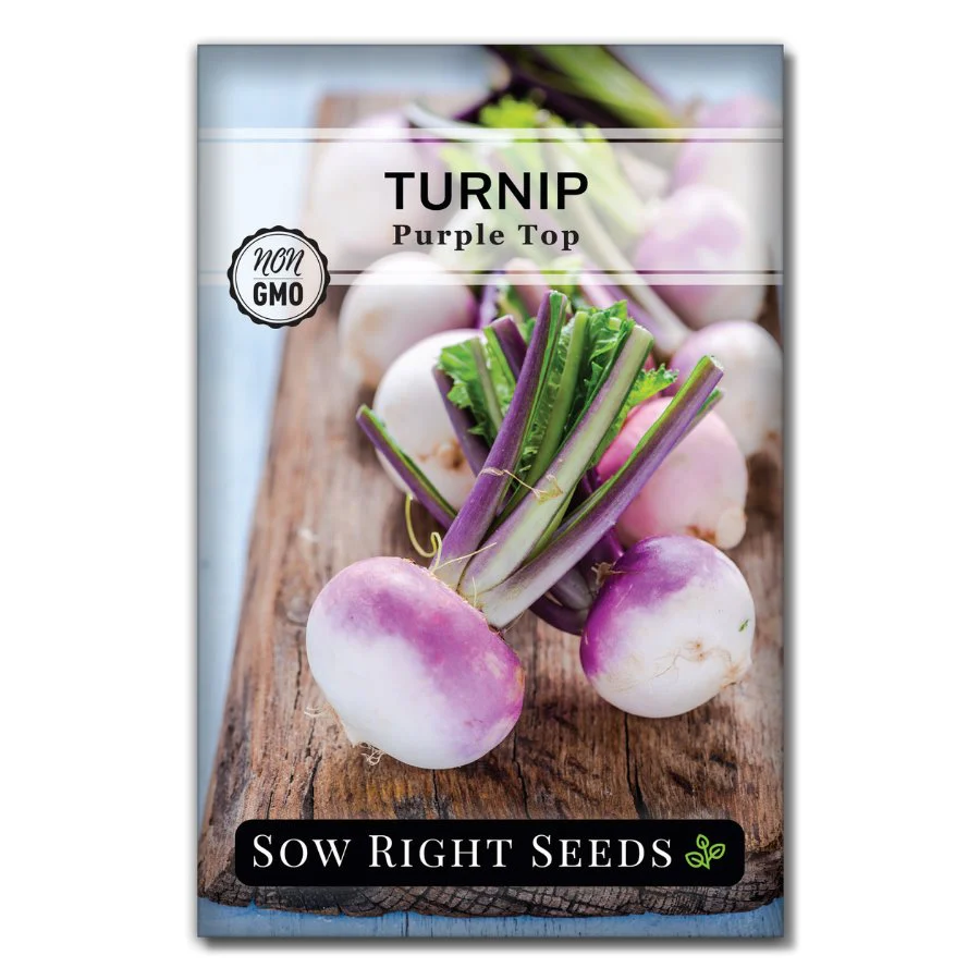Purple Top Turnip