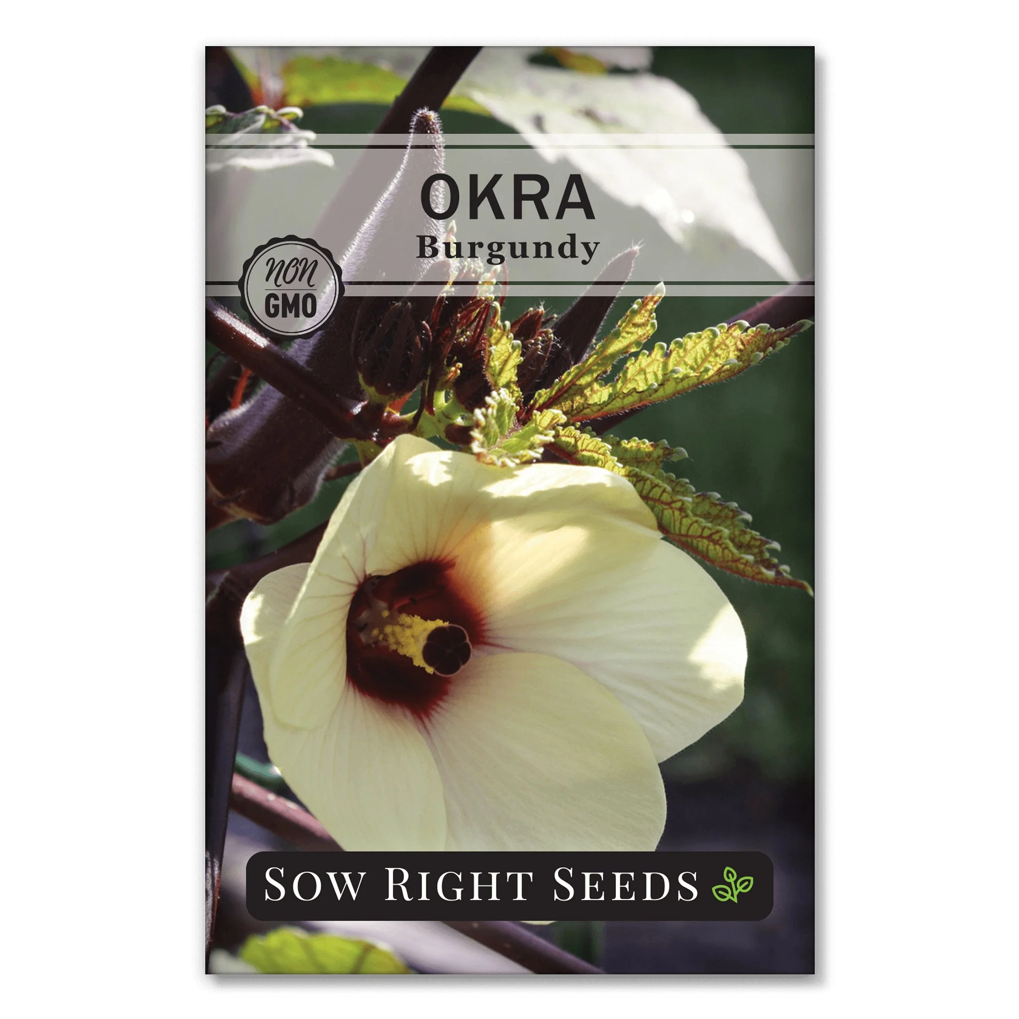 Burgundy Okra