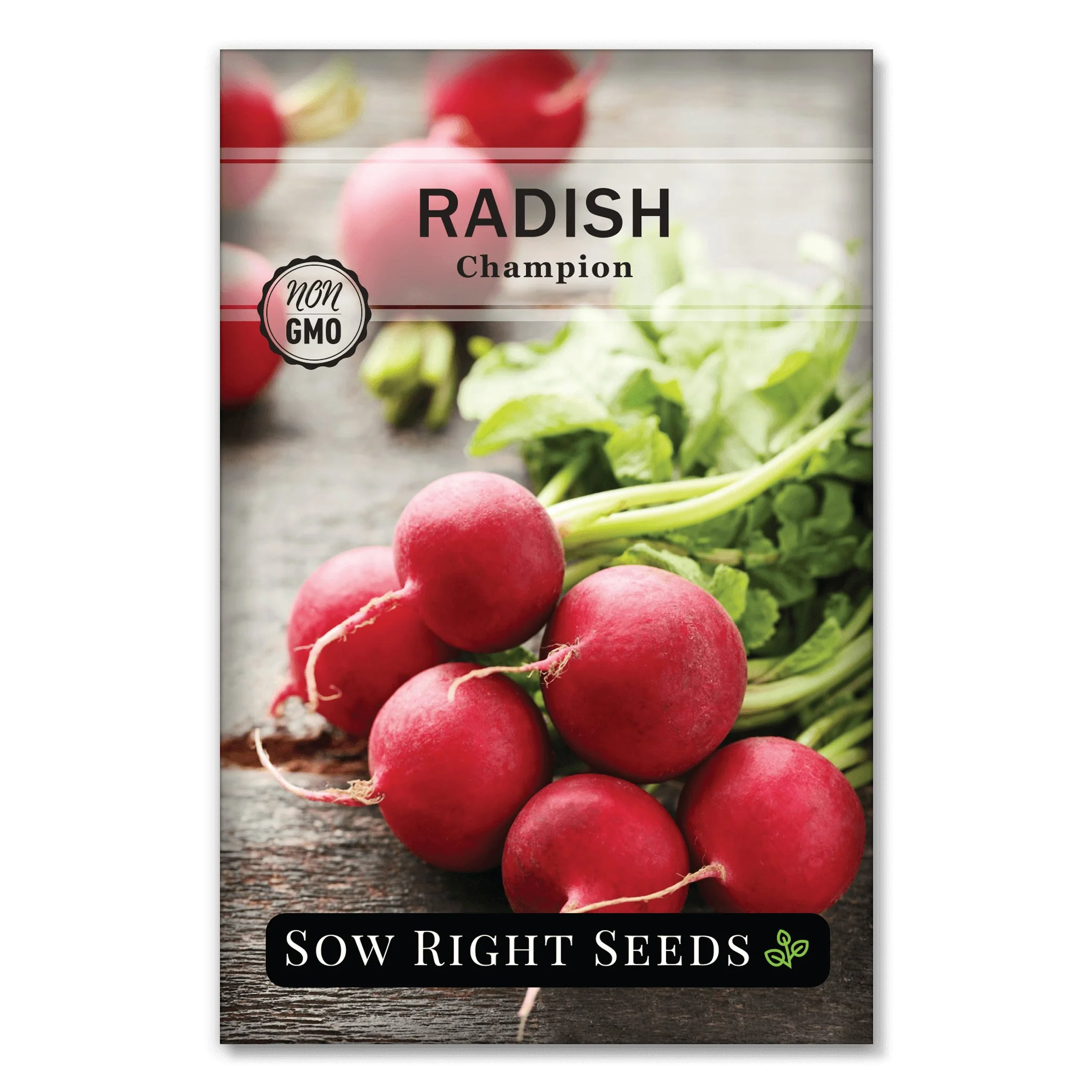 Champion Radish