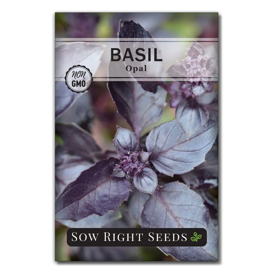 Opal Basil