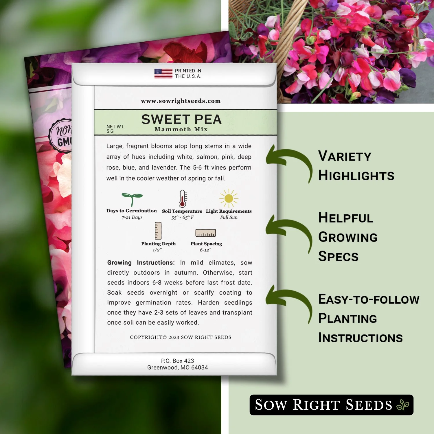 Mammoth Mix Sweet Pea