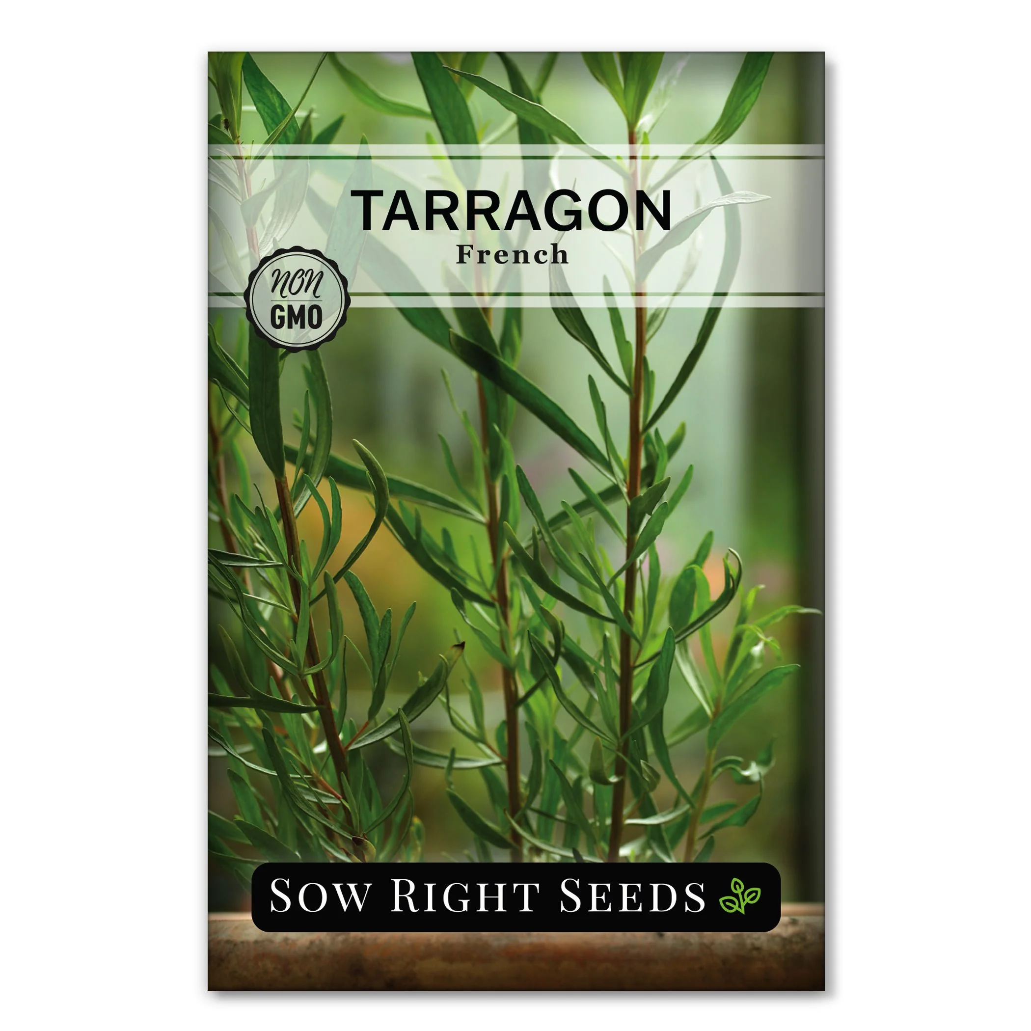 French Tarragon
