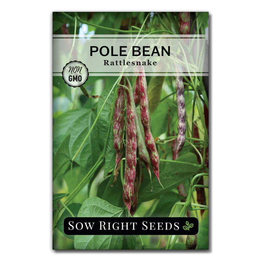 Rattlesnake Pole Bean Seeds