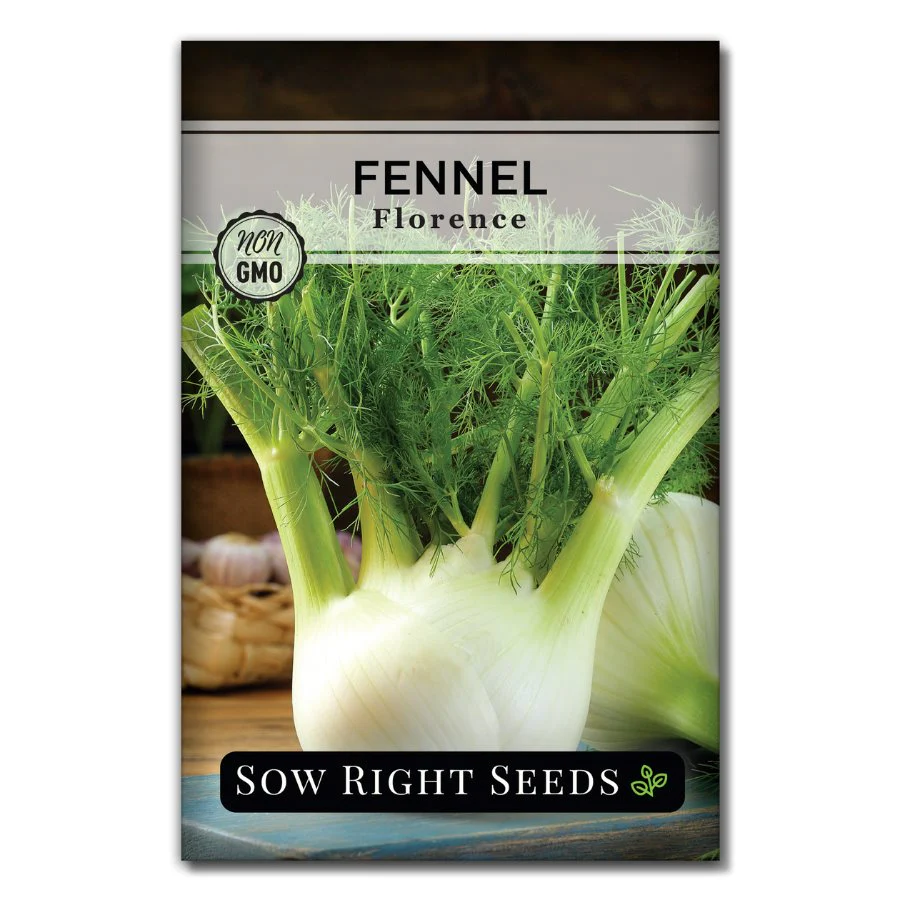 Florence Fennel