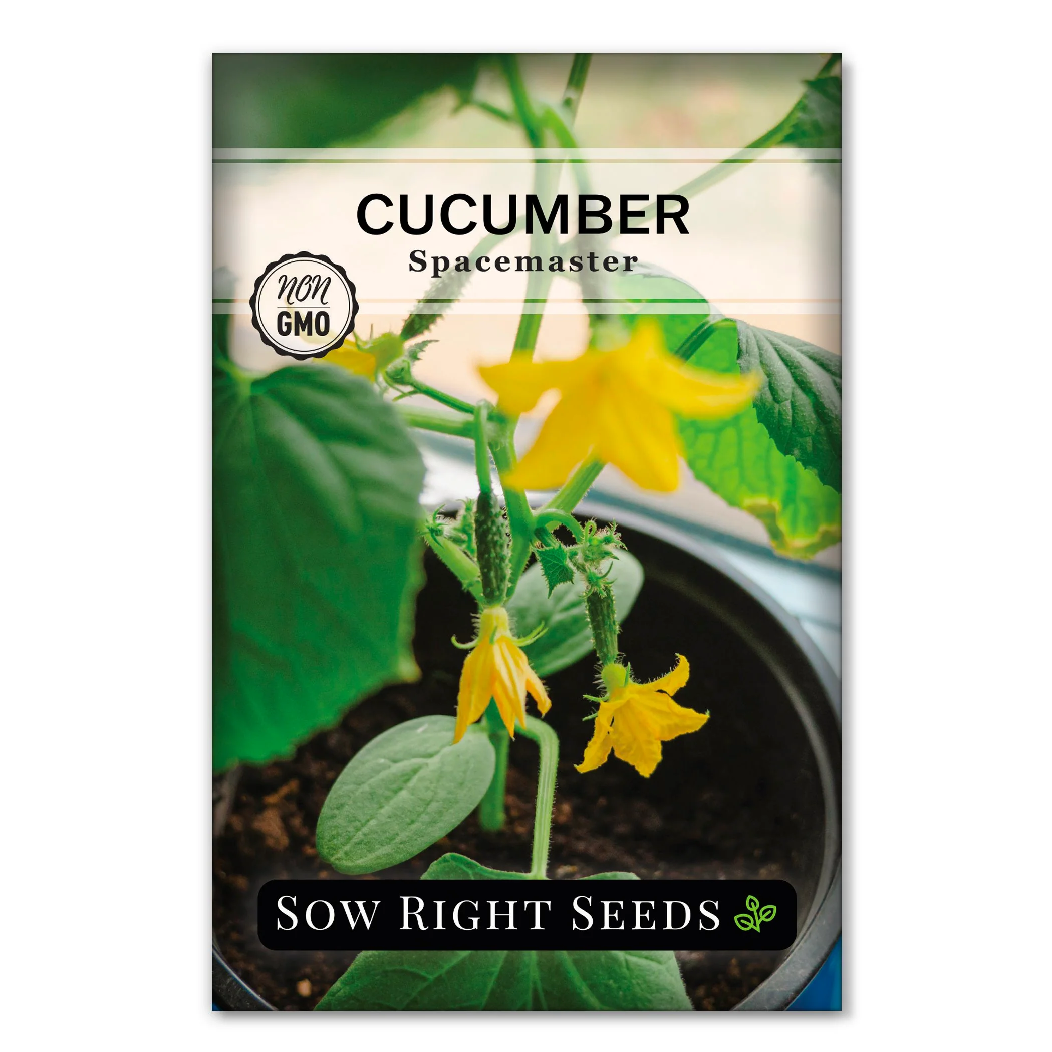 Spacemaster Cucumber Seeds
