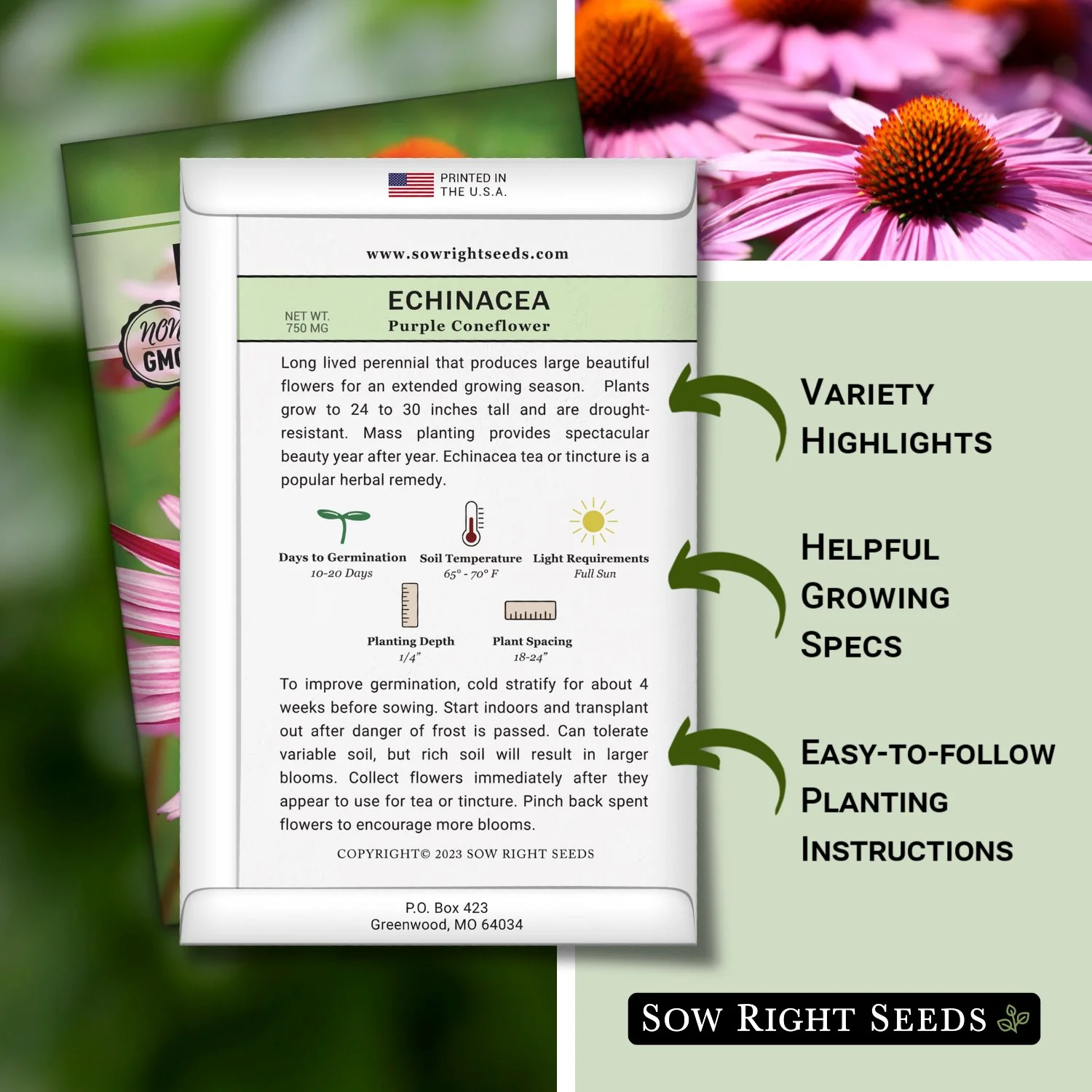 Purple Coneflower Seeds