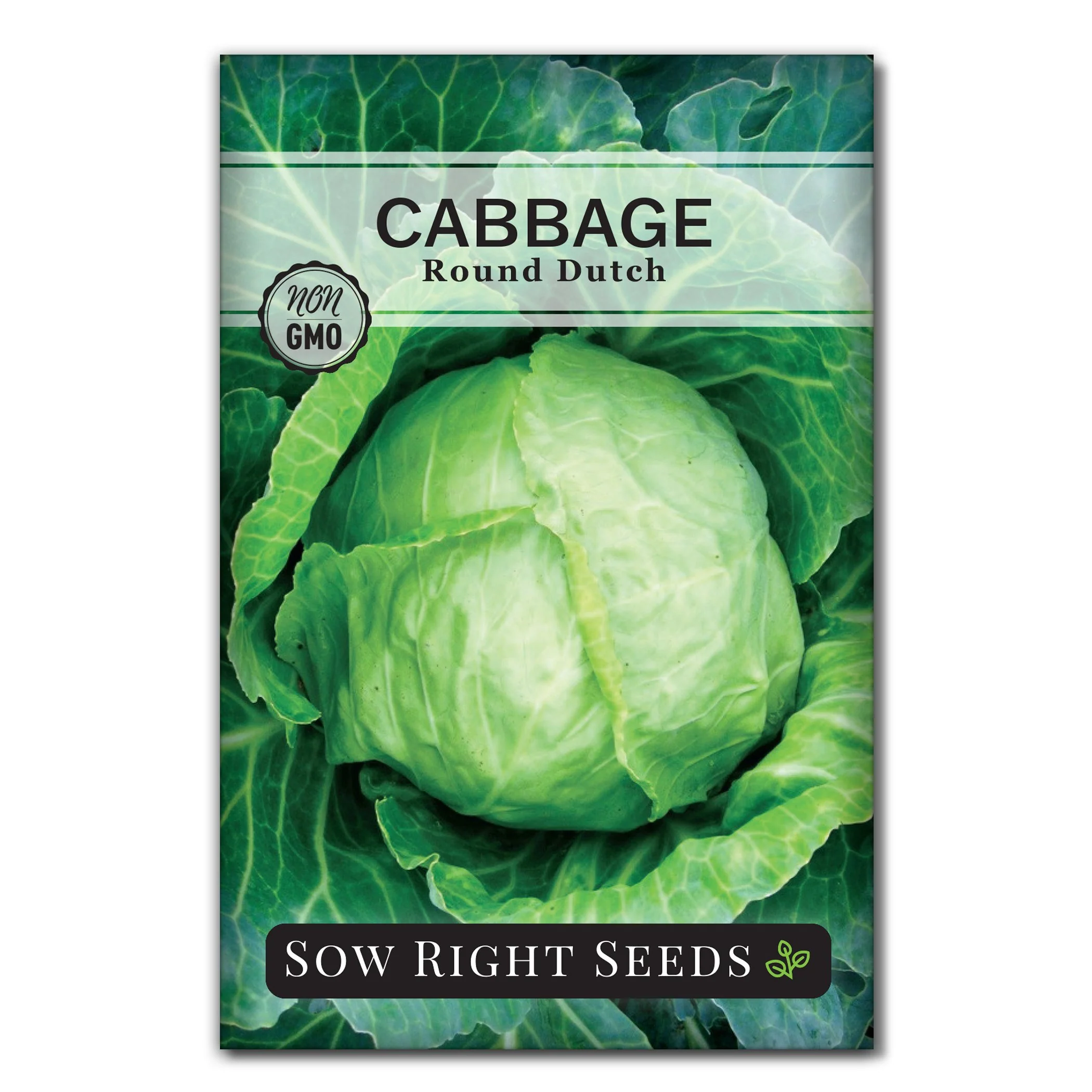 Early Round Dutch Cabbage Seeds
