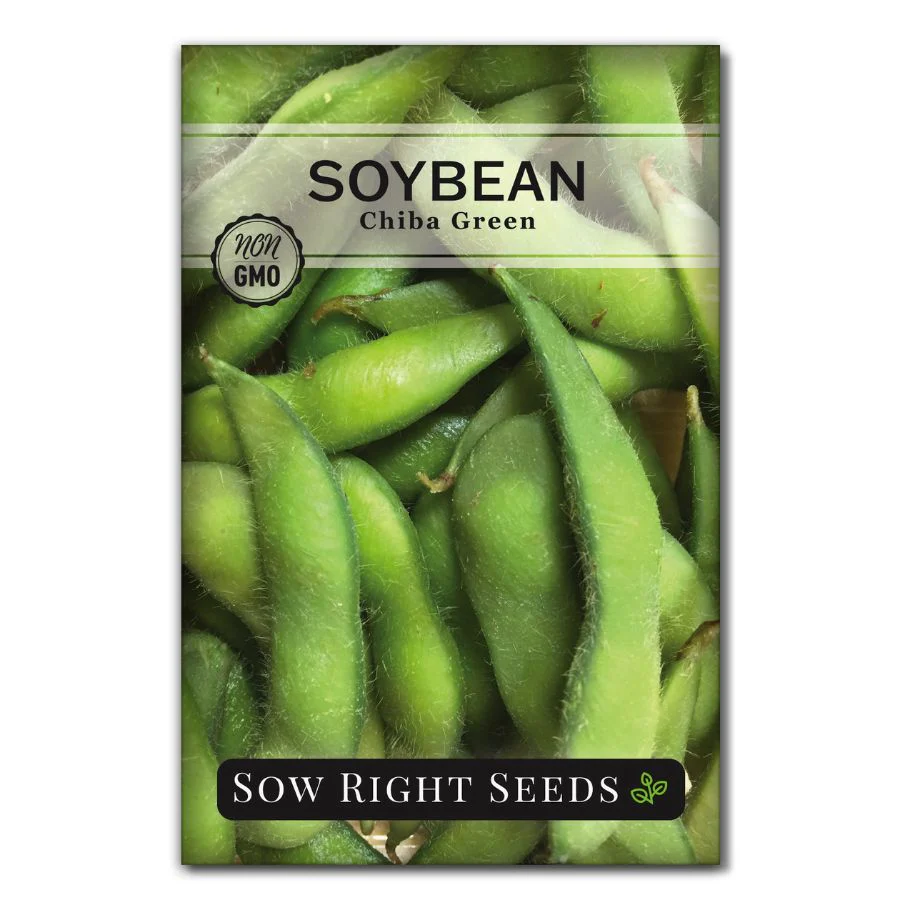 Chiba Green Soy Bean Seeds