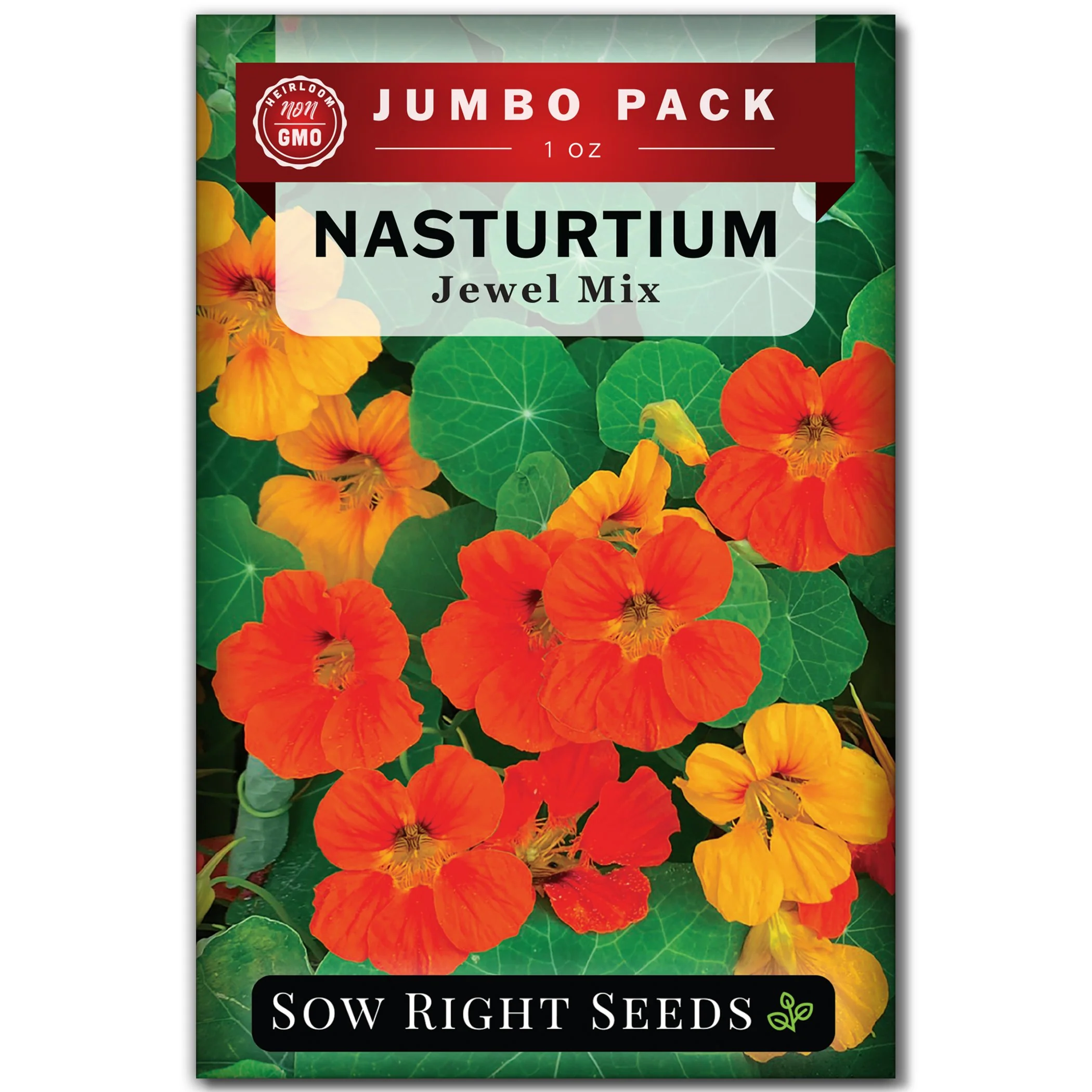 Bulk Nasturtium Jewel Mix 1 Ounce Seeds